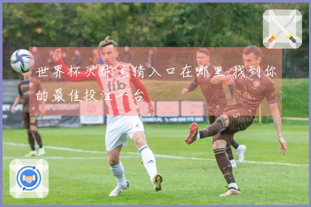 世界杯买球竞猜入口在哪里 找到你的最佳投注平台