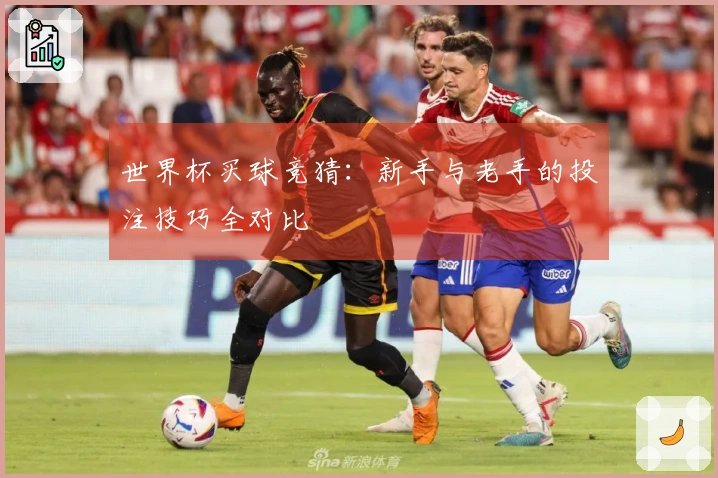 世界杯买球竞猜：新手与老手的投注技巧全对比