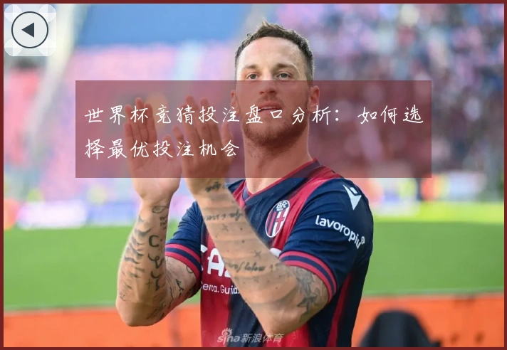 世界杯竞猜投注盘口分析：如何选择最优投注机会