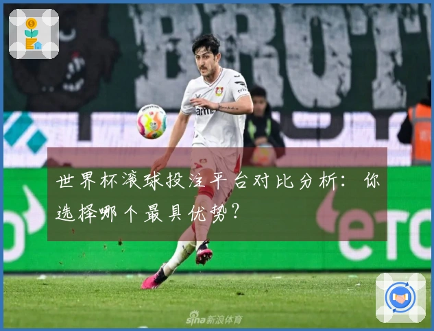 世界杯滚球投注平台对比分析：你选择哪个最具优势？