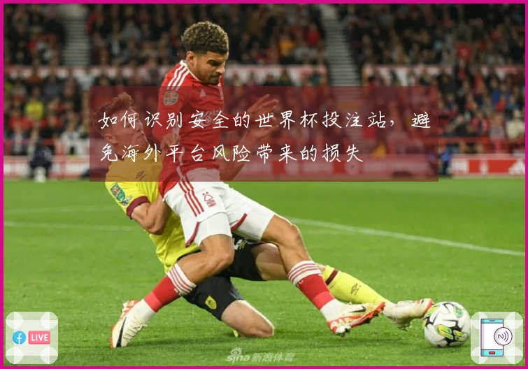如何识别安全的世界杯投注站，避免海外平台风险带来的损失