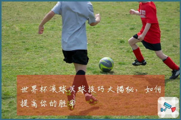 世界杯滚球买球技巧大揭秘，如何提高你的胜率