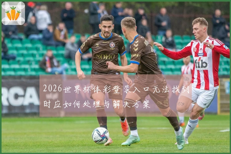 2026世界杯体彩登录入口无法找到时应如何处理与解决方案