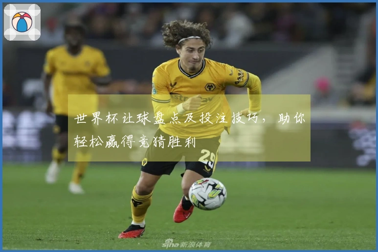 世界杯让球盘点及投注技巧，助你轻松赢得竞猜胜利