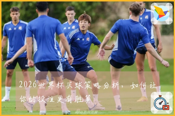 2026世界杯买球策略分析，如何让你的投注更有胜算