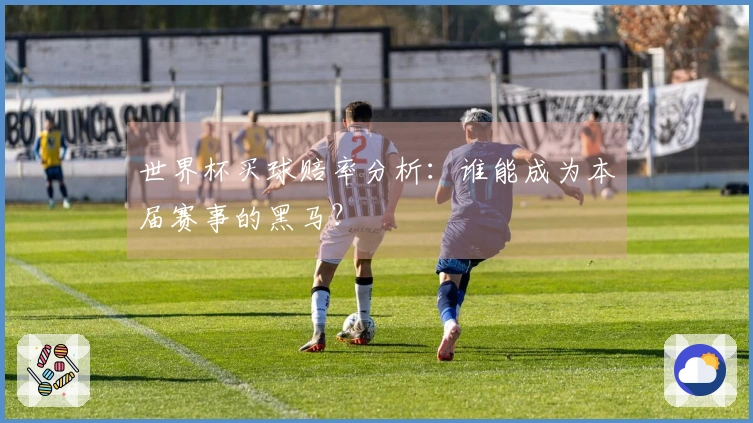 世界杯买球赔率分析：谁能成为本届赛事的黑马？