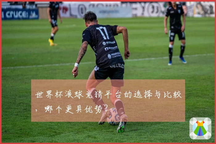 世界杯滚球竞猜平台的选择与比较，哪个更具优势？