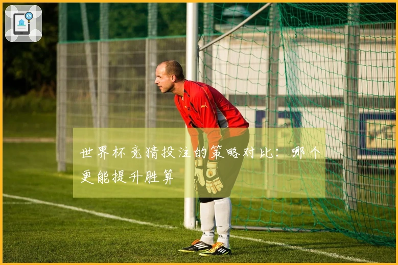 世界杯竞猜投注的策略对比：哪个更能提升胜算