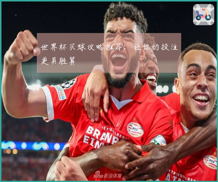 世界杯买球攻略推荐：让你的投注更具胜算
