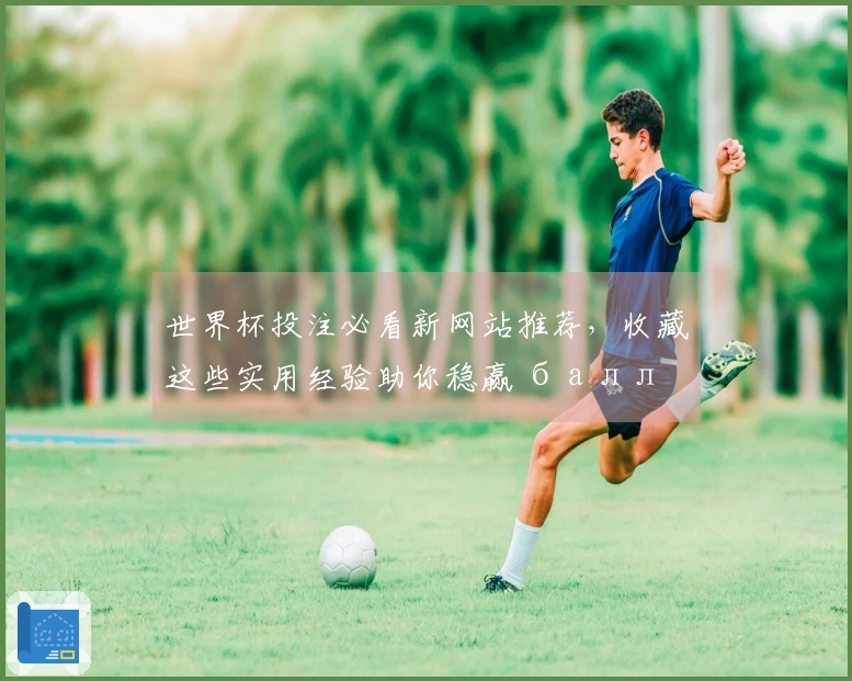 世界杯投注必看新网站推荐，收藏这些实用经验助你稳赢 балл