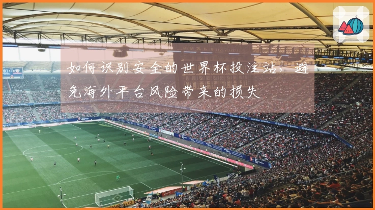 如何识别安全的世界杯投注站，避免海外平台风险带来的损失
