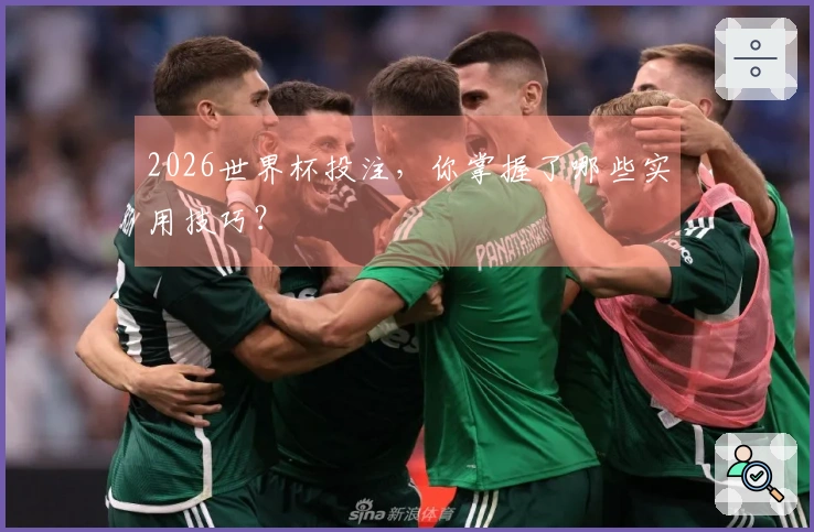2026世界杯投注,你掌握了哪些实用技巧?