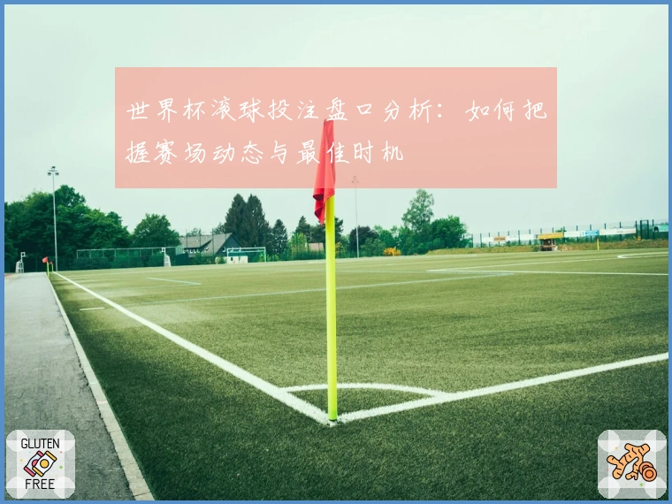 世界杯滚球投注盘口分析：如何把握赛场动态与最佳时机