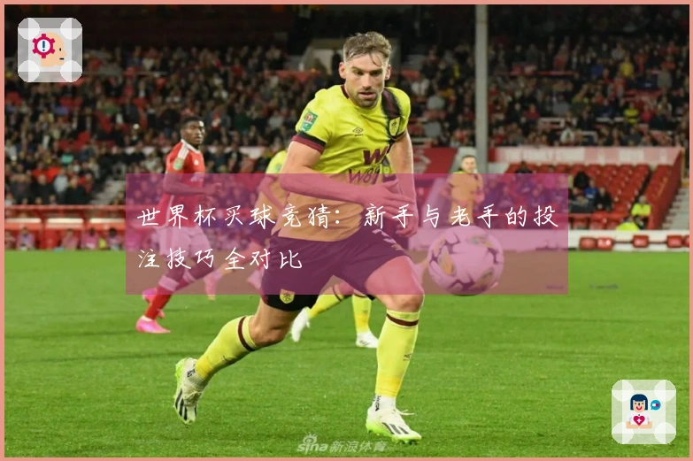 世界杯买球竞猜：新手与老手的投注技巧全对比