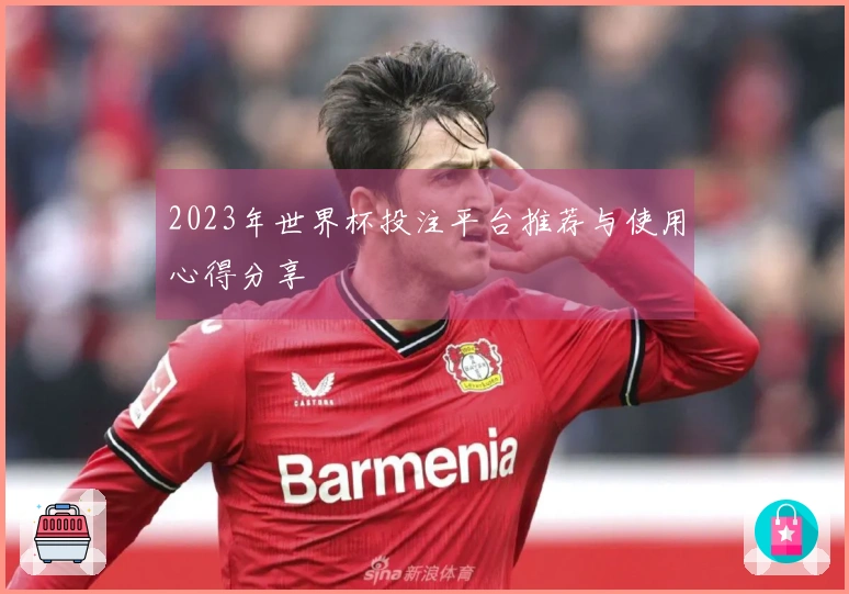 2023年世界杯投注平台推荐与使用心得分享